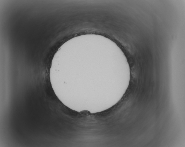 X0000102301495200808221410
