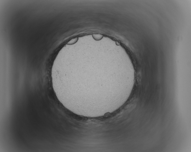 X0000102301496200808221410