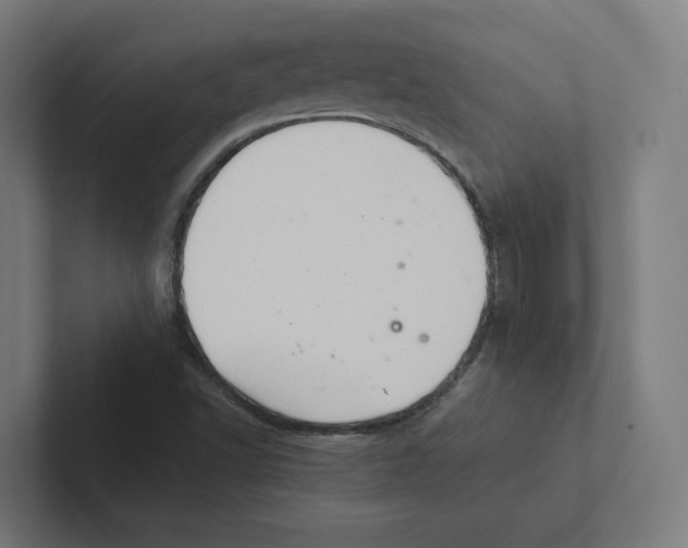 X0000102301502200808221410