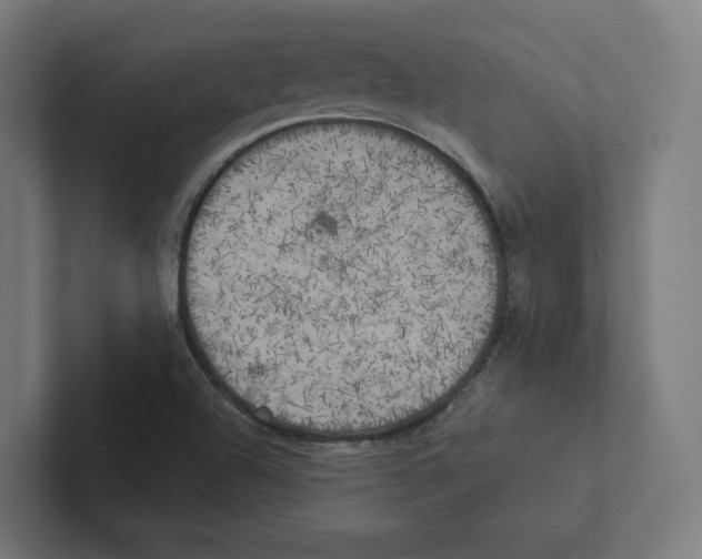 X0000102301504200808221410