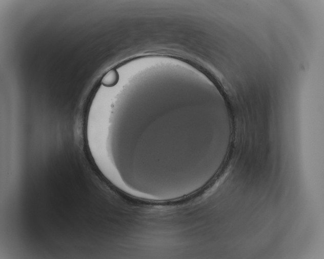 X0000102301506200808221410