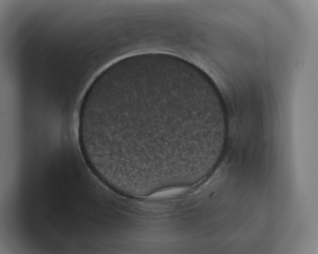 X0000102301508200808221410