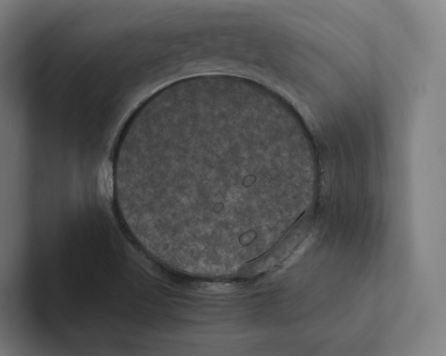 X0000102301509200808221410