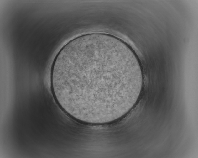 X0000102301512200808221410