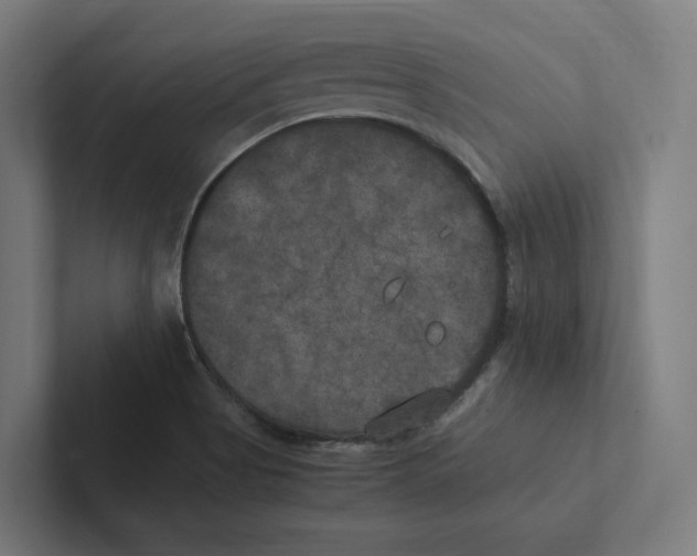 X0000102301513200808221410
