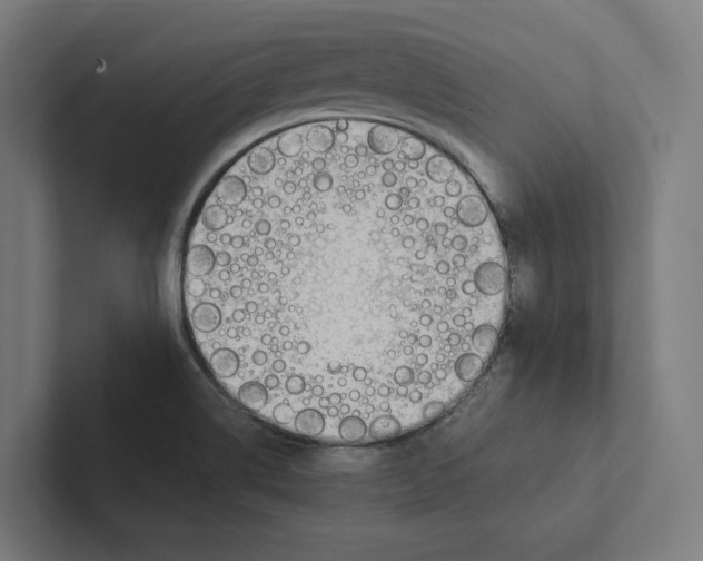 X0000102301514200808221410