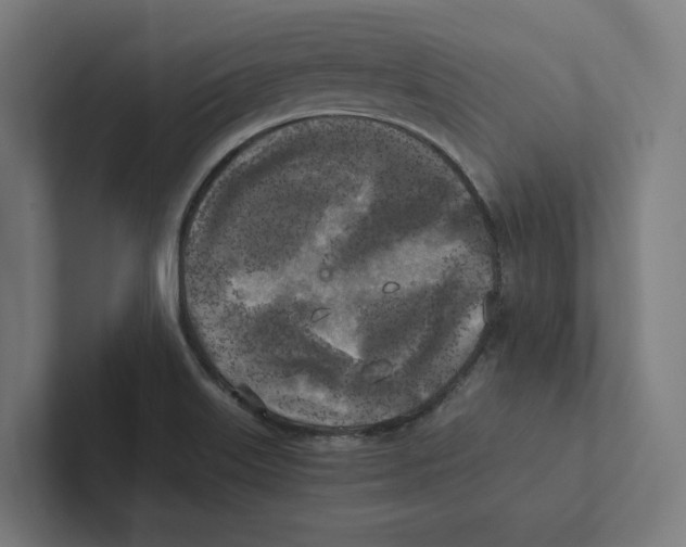 X0000102301515200808221410