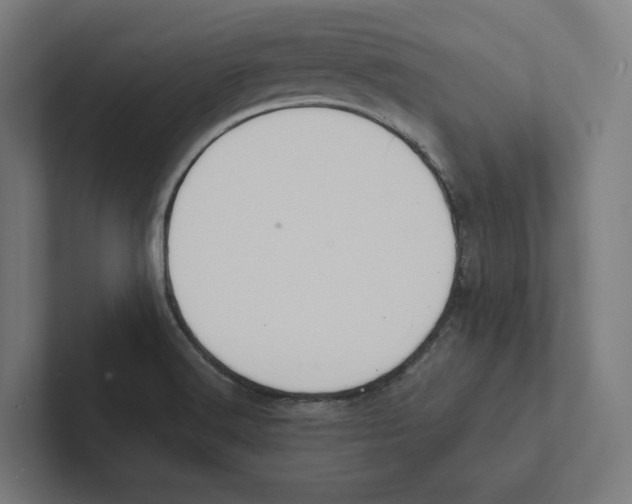 X0000102301516200808221410
