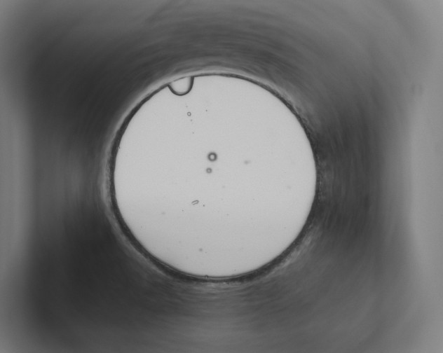 X0000102301518200808221410