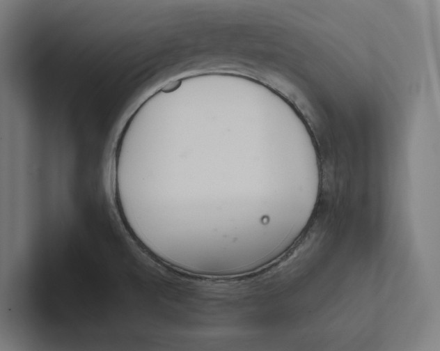 X0000102301520200808221410