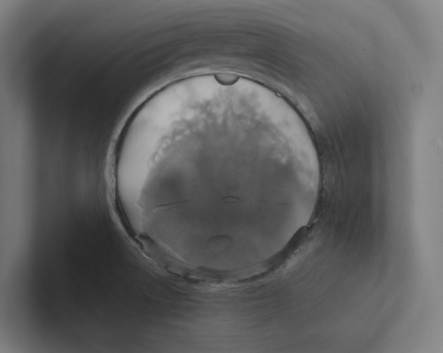 X0000102301522200808221410