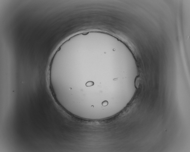 X0000102301524200808221410