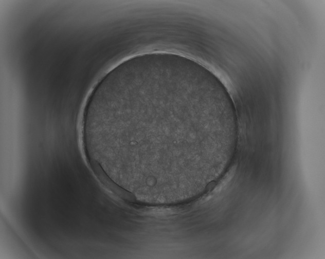 X0000102301525200808221410