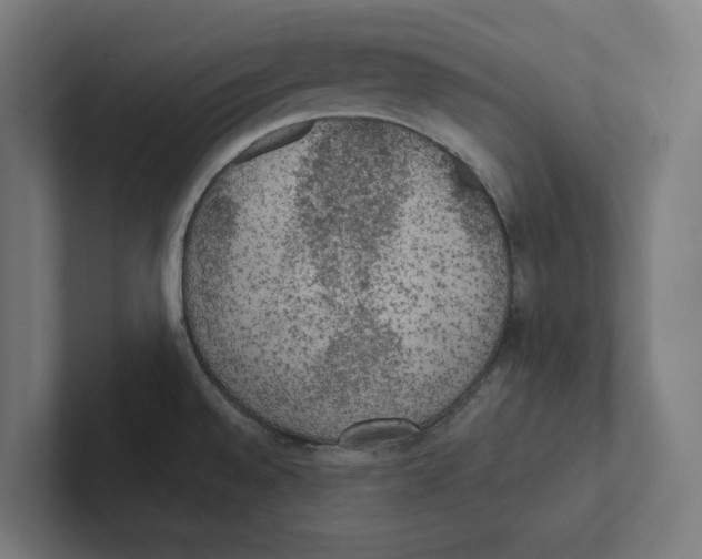 X0000102301528200808221410
