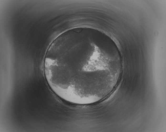 X0000102301529200808221410