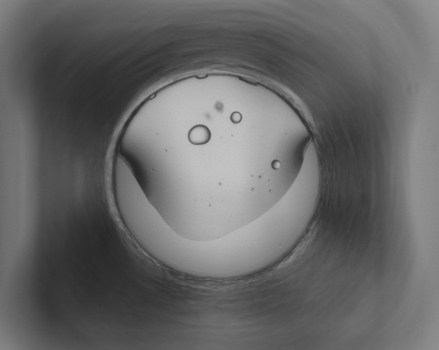 X0000102301530200808221410