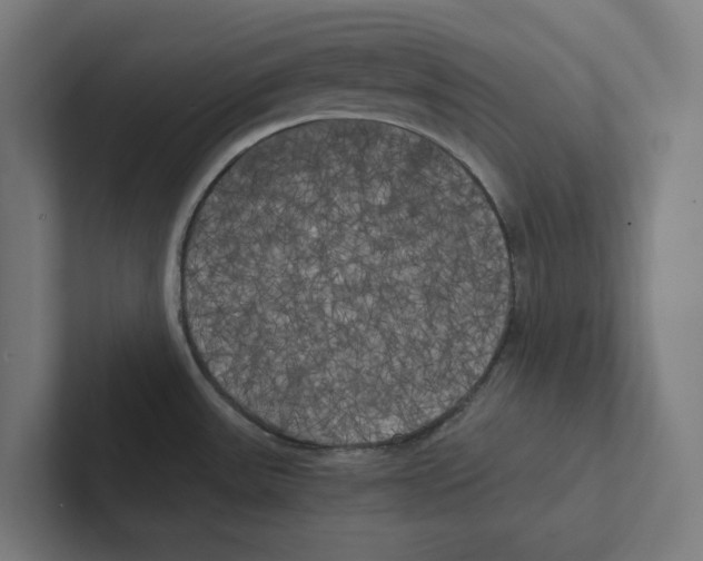 X0000102301531200808221410