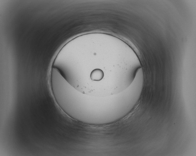 X0000102301532200808221410