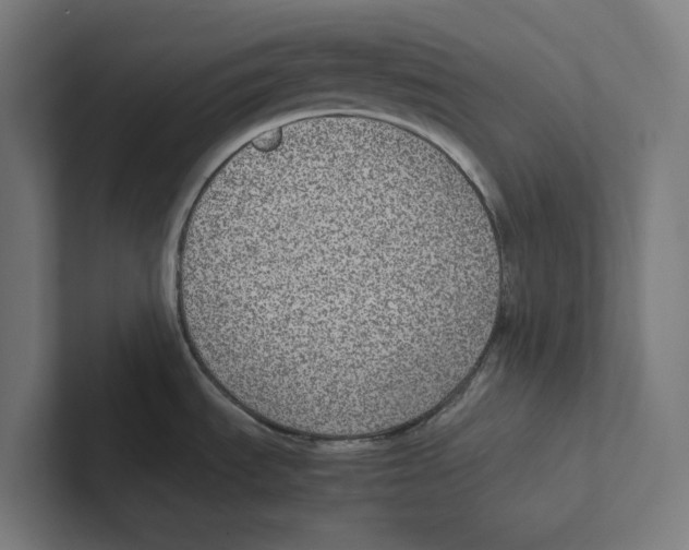 X0000102301535200808221410