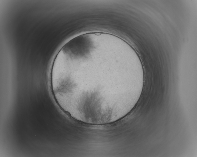 X0000102301536200808221410
