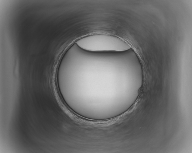 X0000102310001200807251050