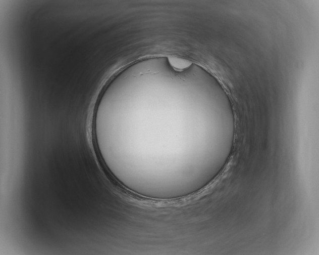 X0000102310003200807251050
