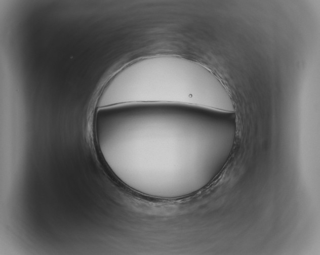 X0000102310004200807251050