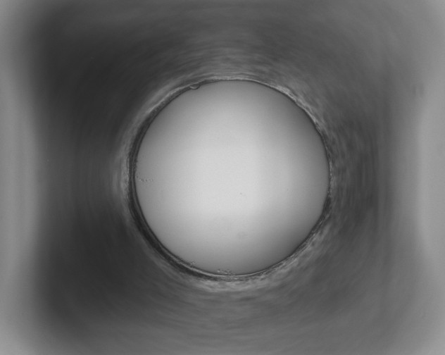X0000102310005200807251050
