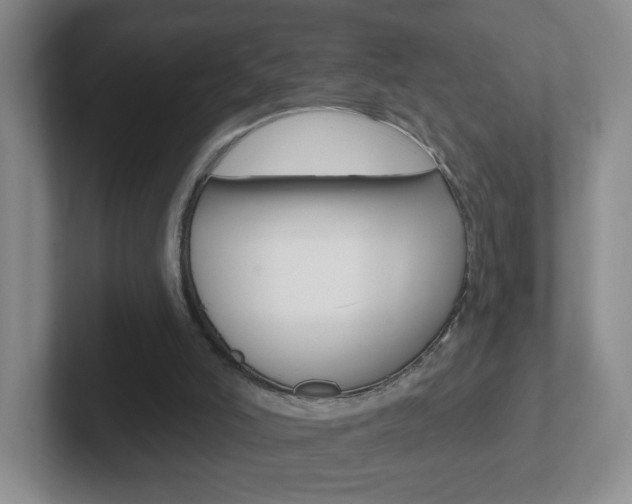 X0000102310006200807251050