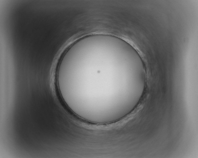 X0000102310007200807251050