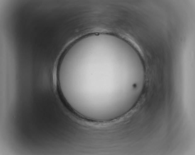 X0000102310011200807251050