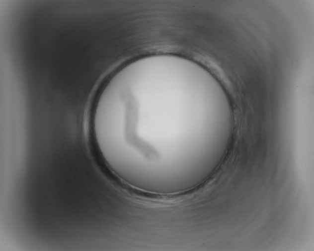 X0000102310012200807251050