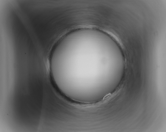 X0000102310013200807251050