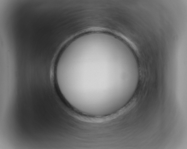 X0000102310015200807251050