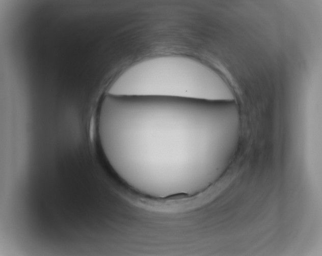 X0000102310019200807251050