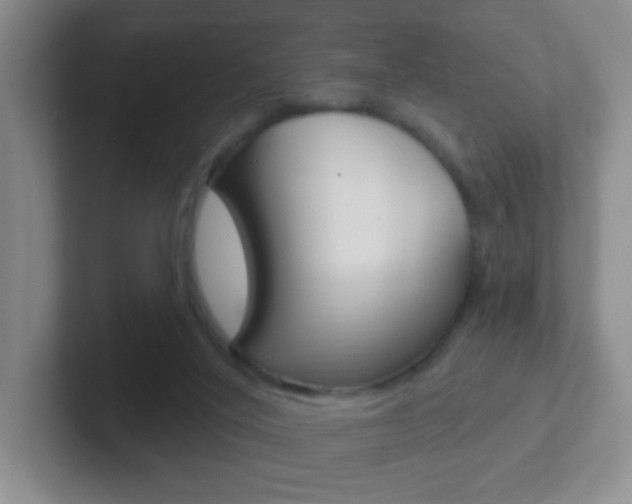 X0000102310020200807251050