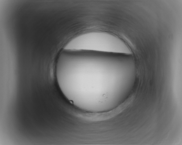 X0000102310023200807251050