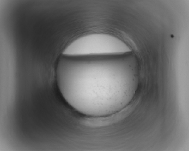X0000102310025200807251050