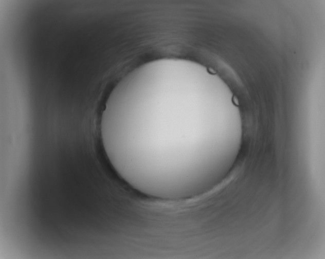 X0000102310029200807251050