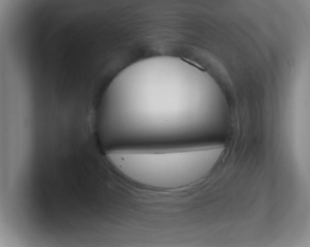 X0000102310036200807251050