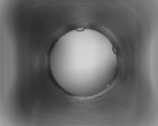 X0000102310037200807251050