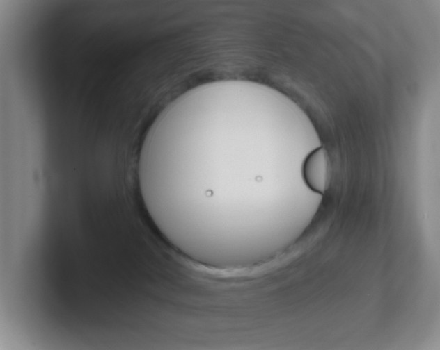 X0000102310038200807251050