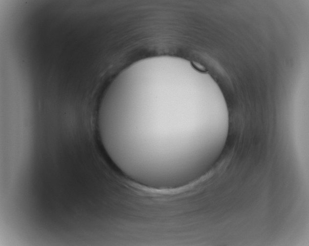 X0000102310039200807251050