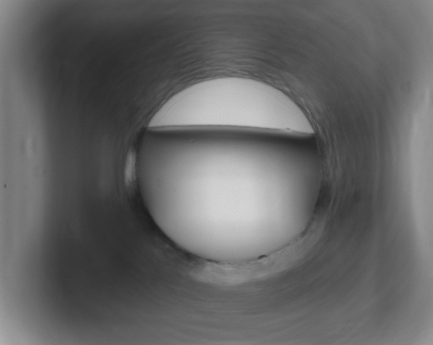X0000102310041200807251050