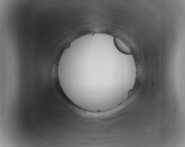 X0000102310043200807251050