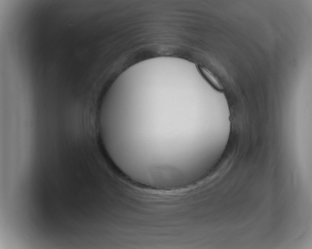 X0000102310044200807251050