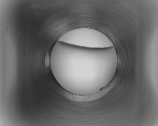 X0000102310046200807251050