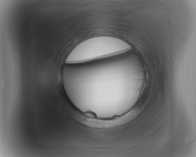 X0000102310048200807251050