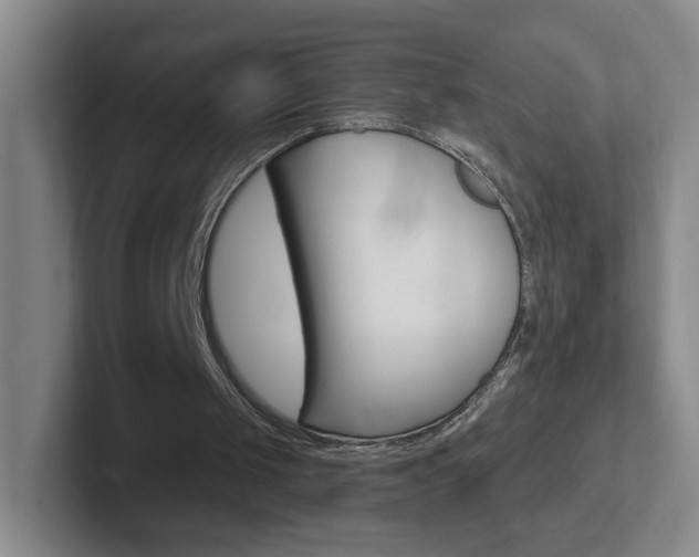X0000102310049200807251049