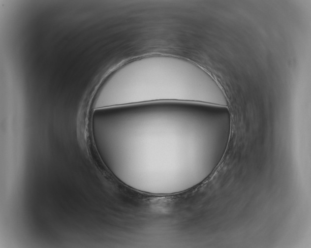 X0000102310050200807251049